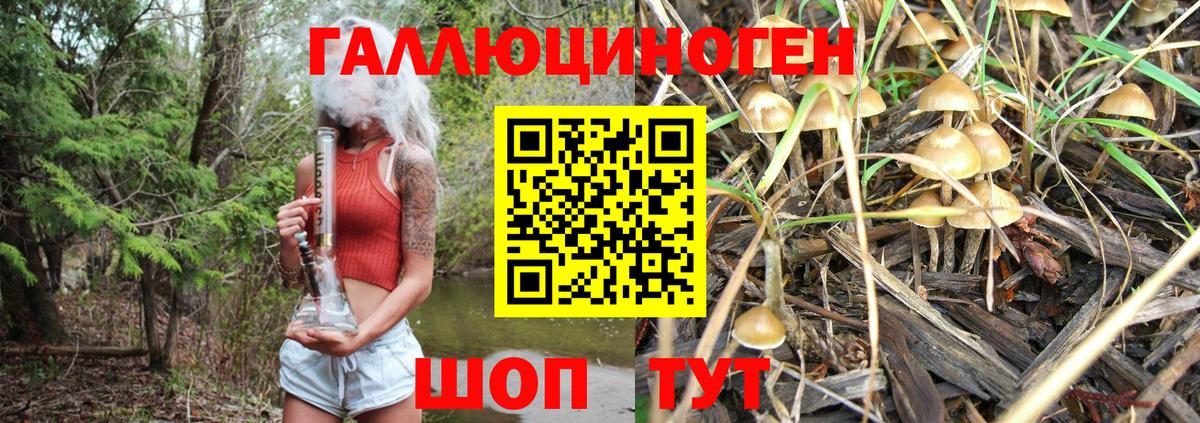 Псилоцибиновые грибы Cubensis Тихорецк
