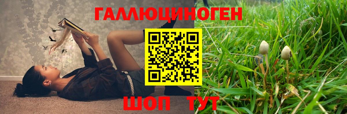Галлюциногенные грибы мицелий  Вход с VPN  где найти наркотики  Тихорецк 